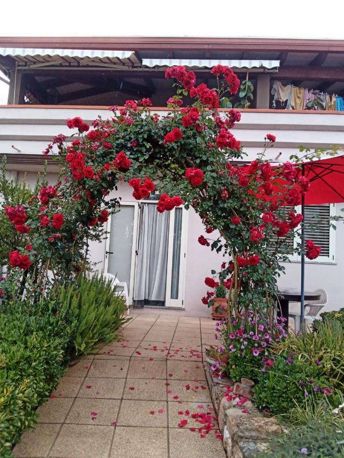 B&B Kazakova Domusnovas Dış mekan fotoğraf