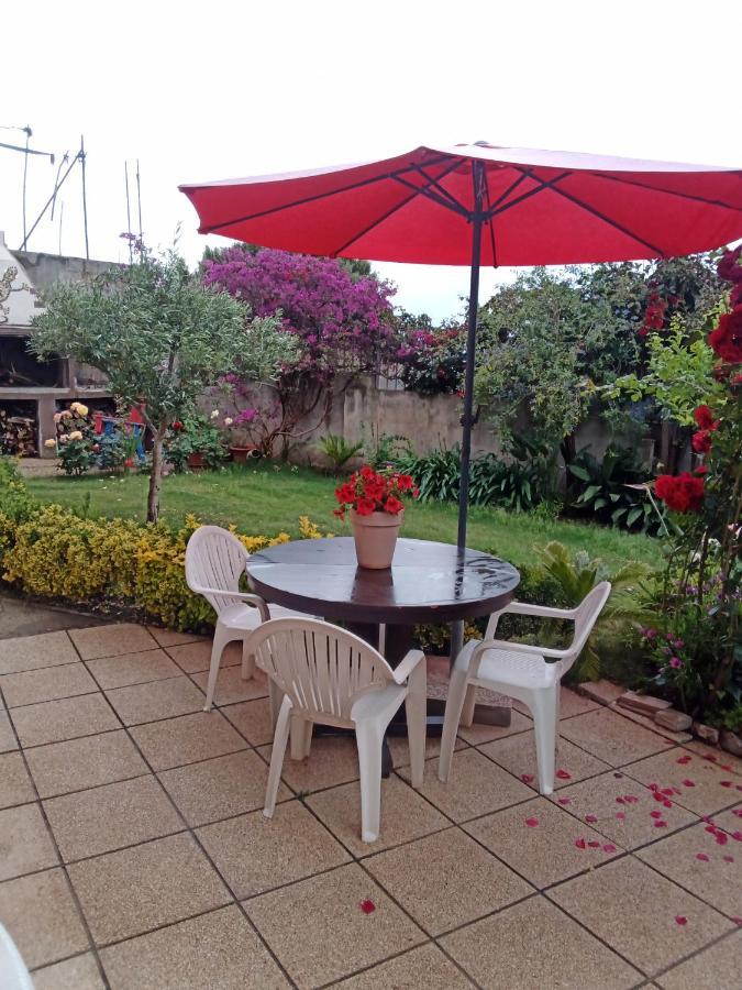 B&B Kazakova Domusnovas Dış mekan fotoğraf