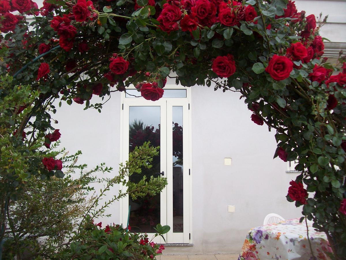 B&B Kazakova Domusnovas Dış mekan fotoğraf